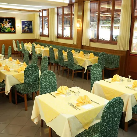 酒店 达沃斯酒店