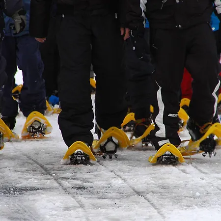 酒店 达沃斯酒店
