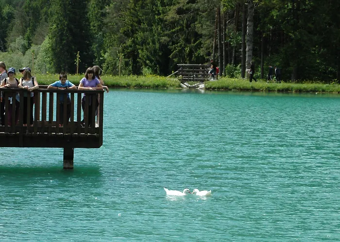 Hotel Davost Forni di Sopra